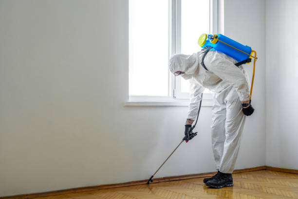 Reliable Edinburg, TX Pest Control Solutions